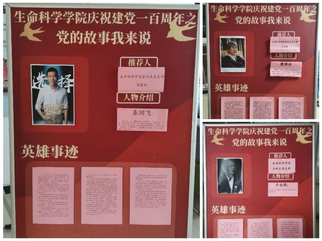 开云体育