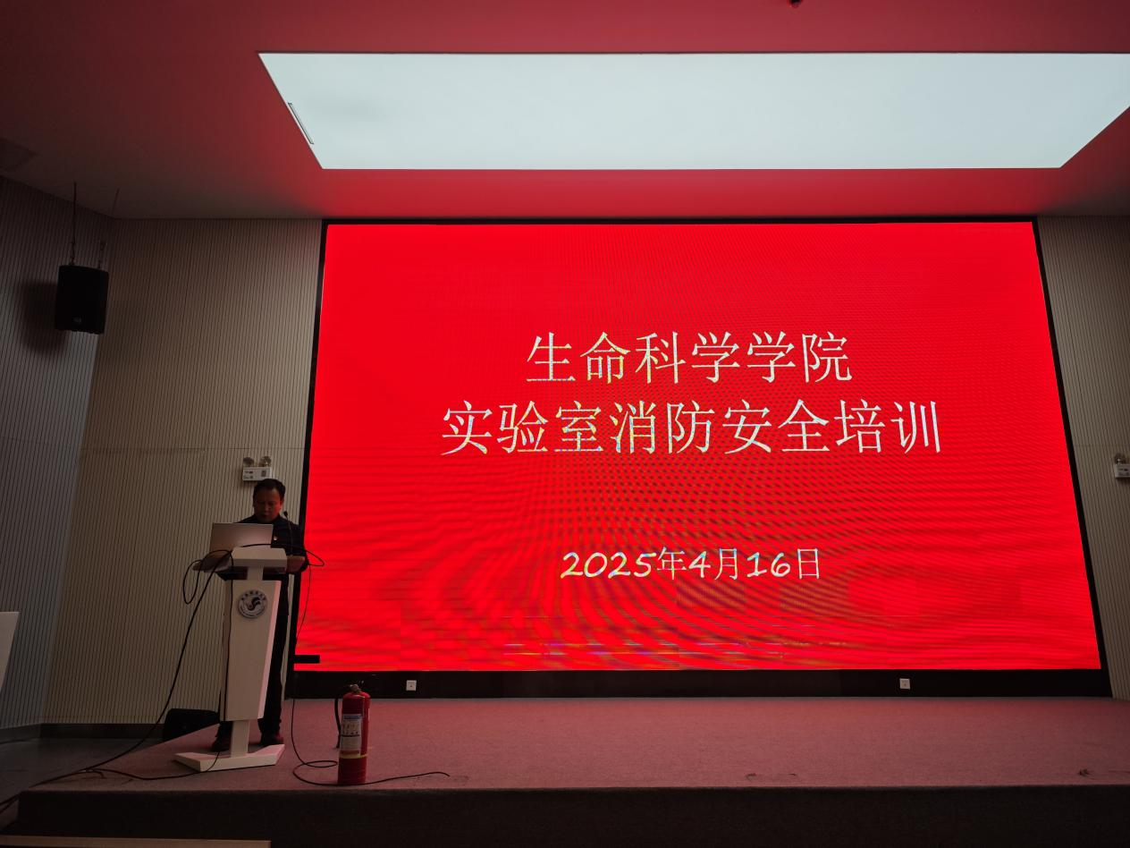 开云体育