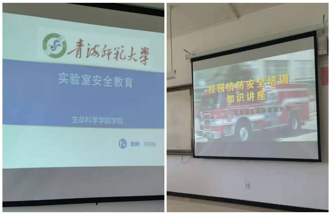 开云体育