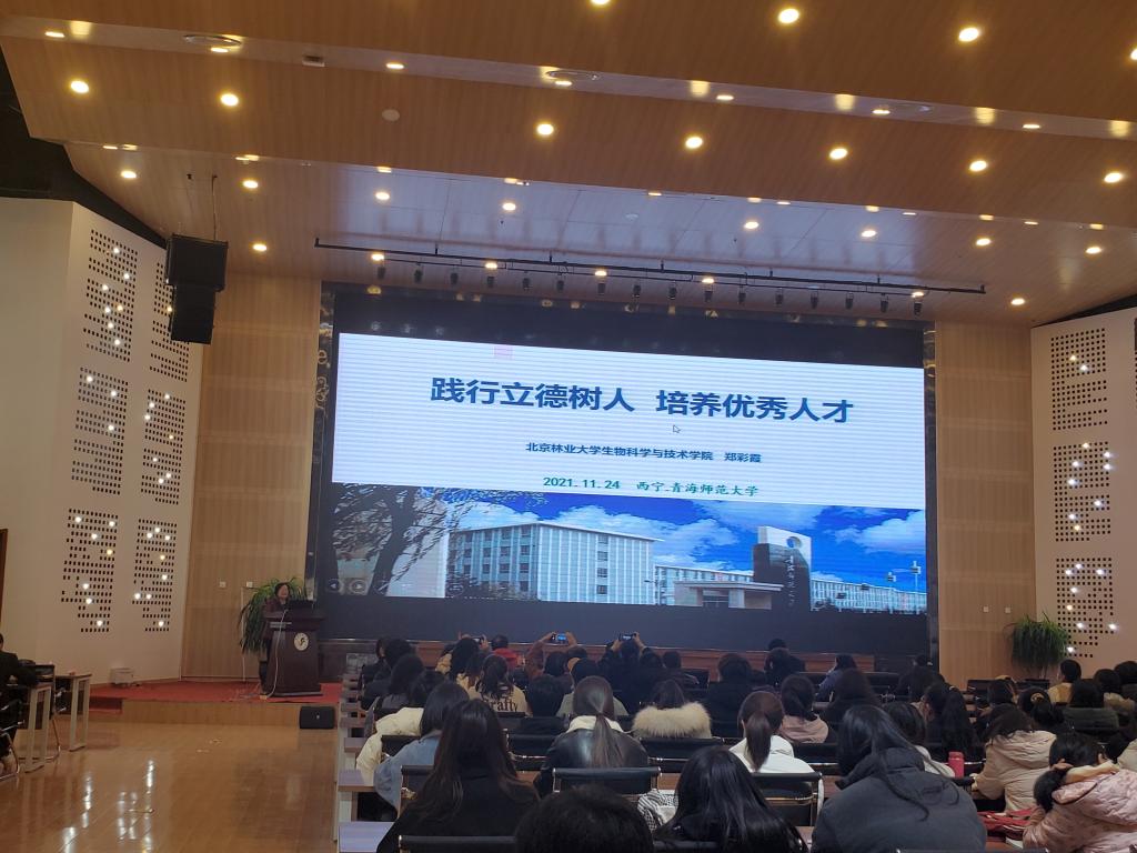 开云体育