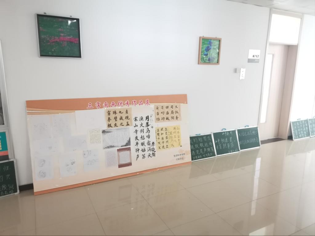 开云体育
