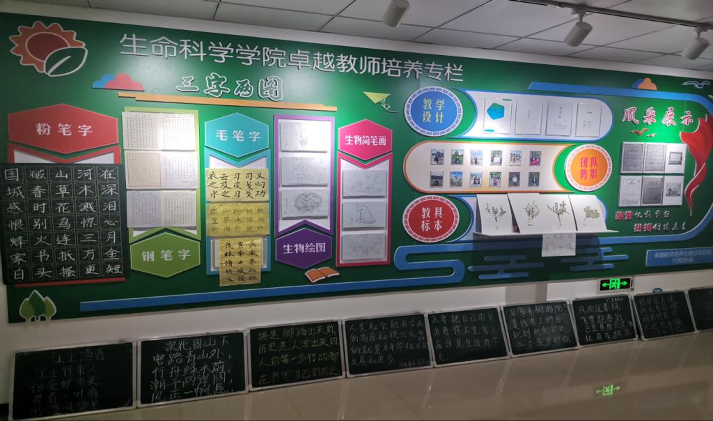 开云体育