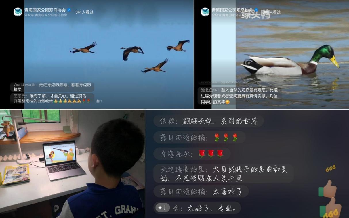 开云体育